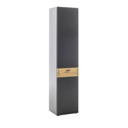 Hochschrank 45 cm anthrazit + Wildeiche TL3100