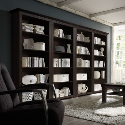 CORDOBA 4x Bücherregale Kiefer massiv kolonial lackiert